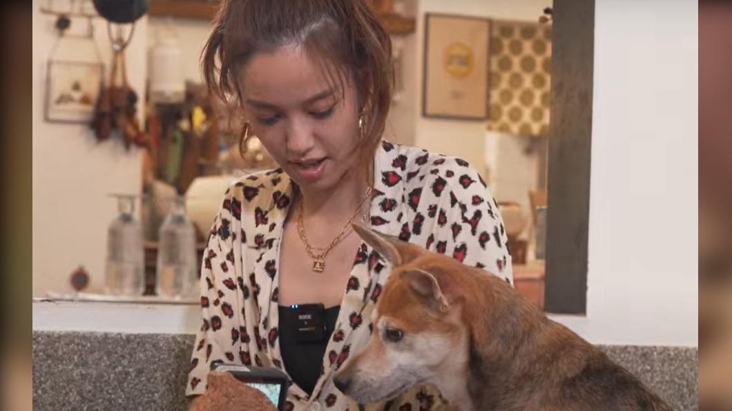 陳庭妮首攜愛犬登寵物實境節目 首曝一見鐘情相遇故事