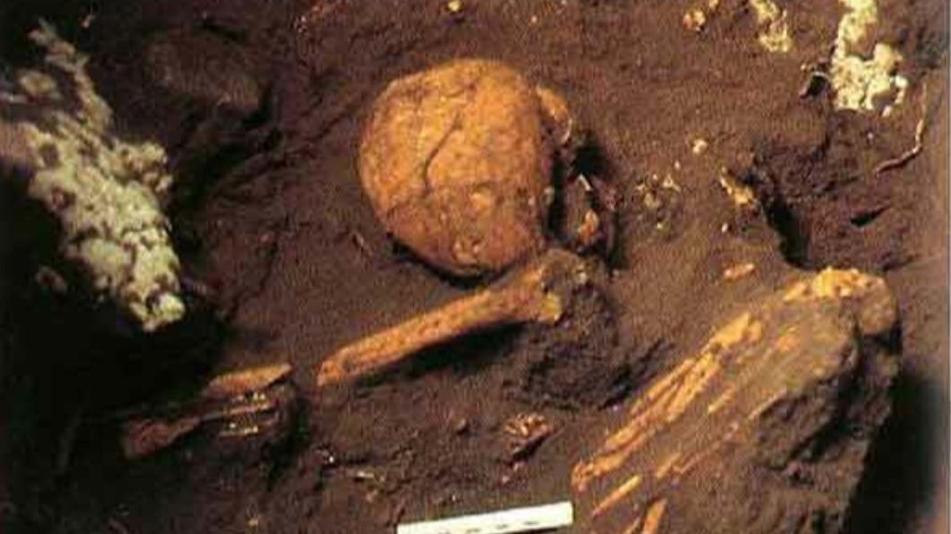 台東挖到女骨骸!6000年前「黑矮人」出土 僅139公分