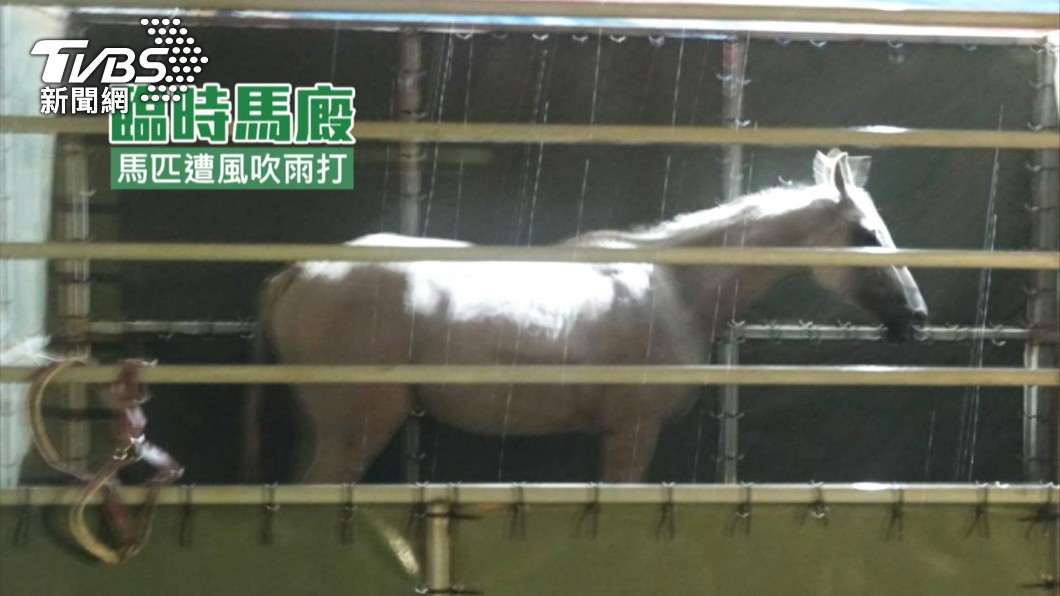 圖／TVBS