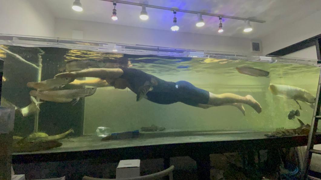 和寵物魚共游!日狂男打造「3公尺巨大水族箱」網友看傻
