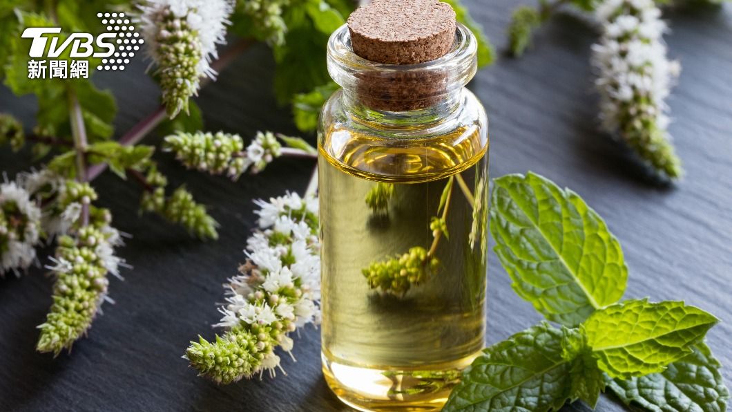 薄荷、薰衣草可以舒緩神經、放鬆心情。(示意圖/shutterstock達志影像)
