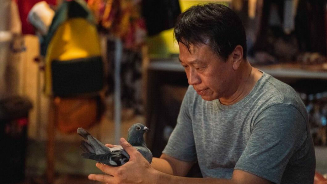 游安順在片中詮釋一位失意的賽鴿訓練師。(圖/台北双喜電影提供)