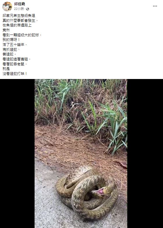 「巨無霸蛇球」在馬路上翻滾。(圖/翻攝自邱經堯臉書)