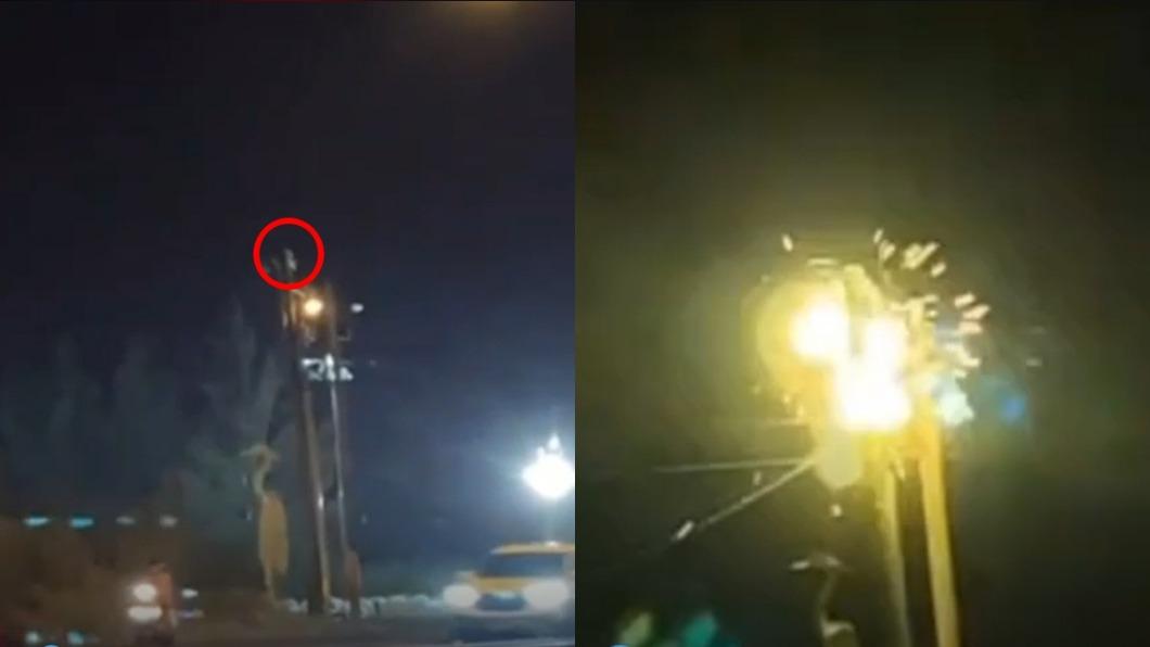 白鷺鷥害電桿炸火花?恆春停電5百戶 台電:它才是元兇