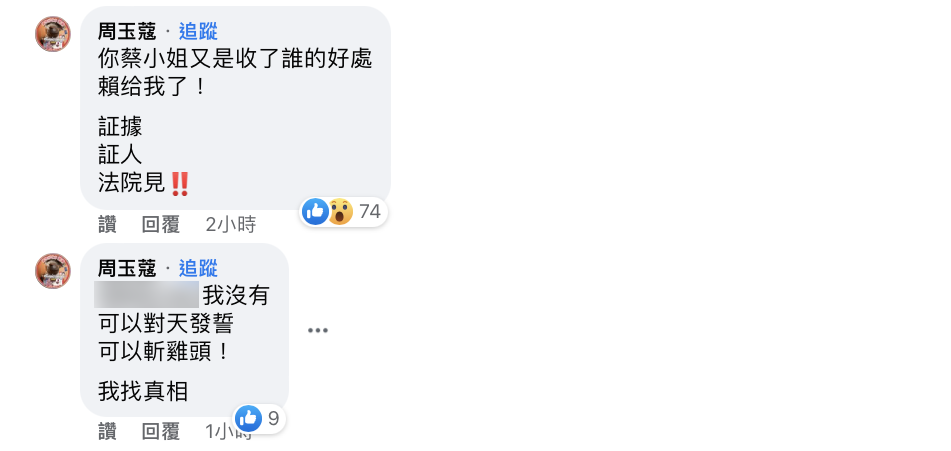 周玉蔻在留言處不斷回應。(圖/翻攝自蔡玉真臉書)