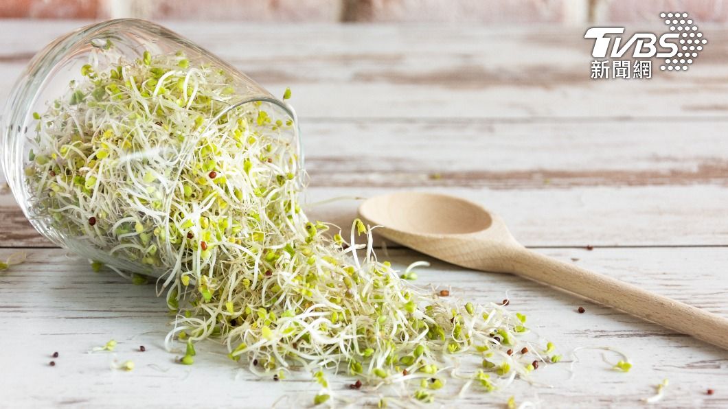 苜蓿芽抗癌又抗菌!營養師授「這吃法」最有效 2大料理曝