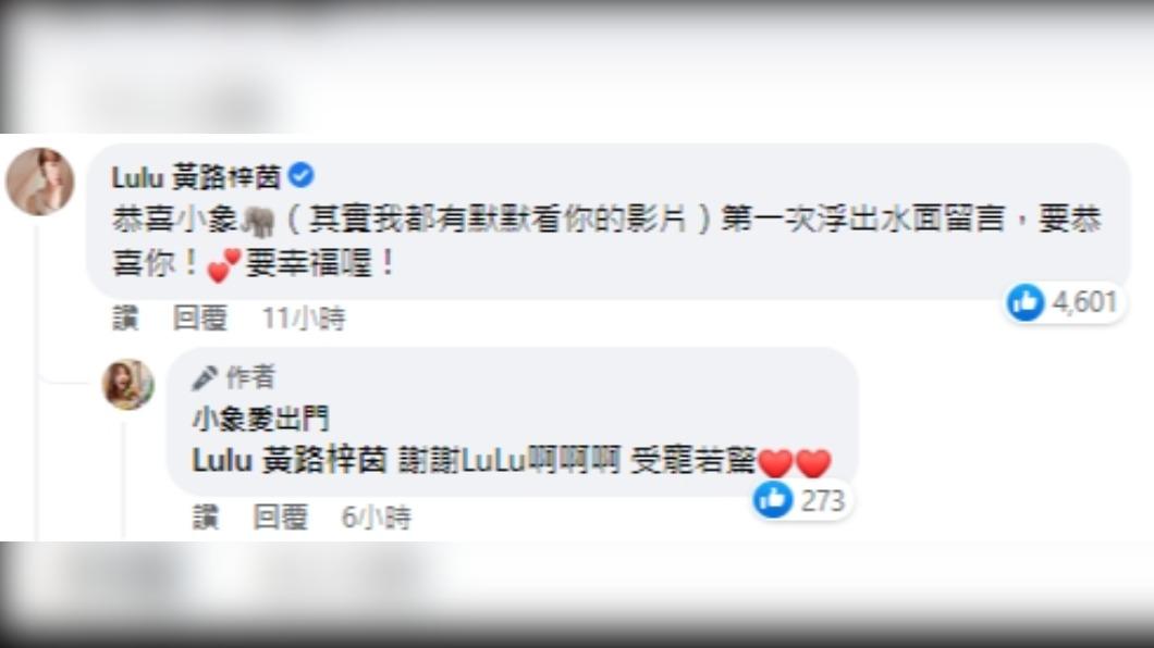 Lulu也浮出水面獻祝福。(圖/翻攝自小象愛出門臉書)