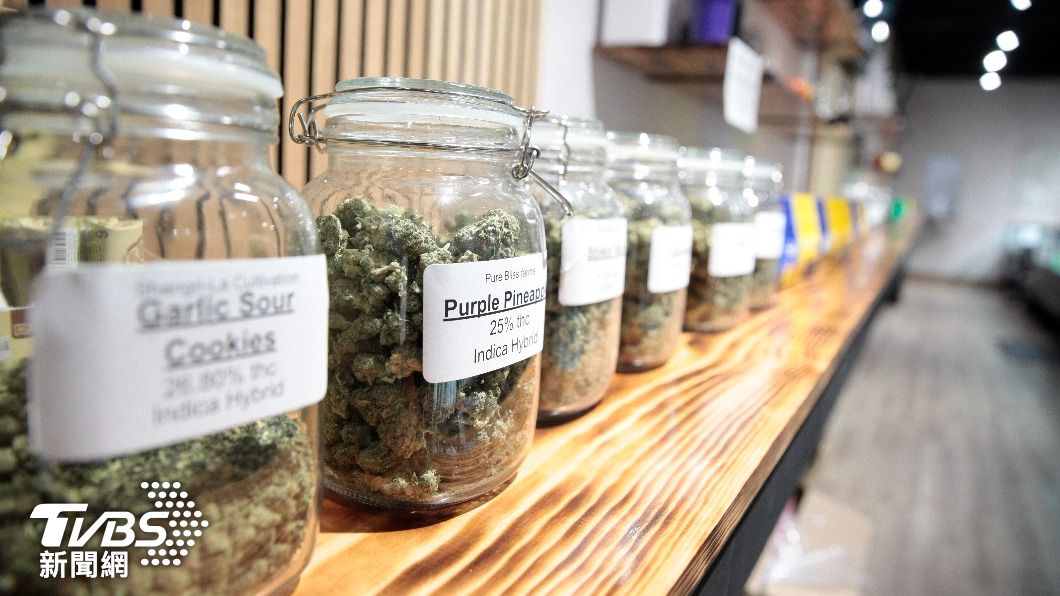 打擊黑市!德國擬合法化娛樂用大麻 允許民眾種植私用
