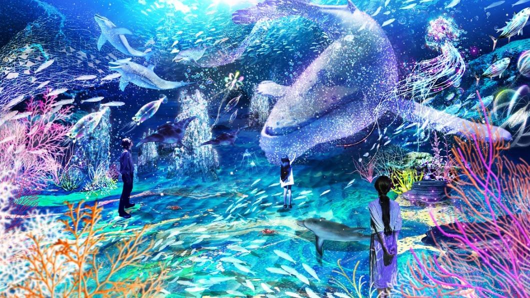 PARADISE深海樂園在深海360度的沉浸式空間，有可愛的小白鯨出沒。（圖／nakedocean.tw　IG提供）