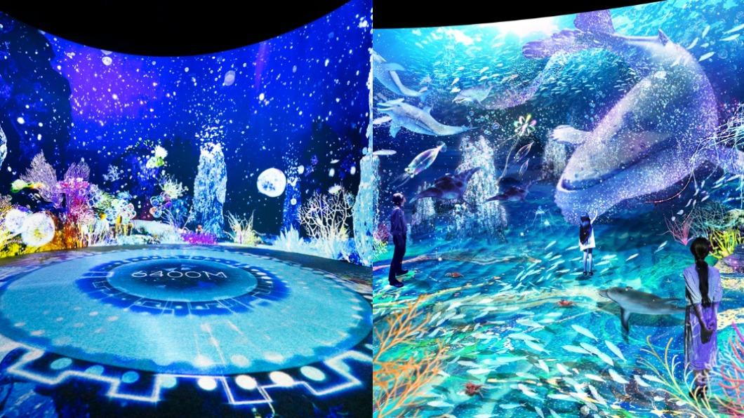 日本「光之影海洋展」將登台!身歷其境光影饗宴 展區搶先看