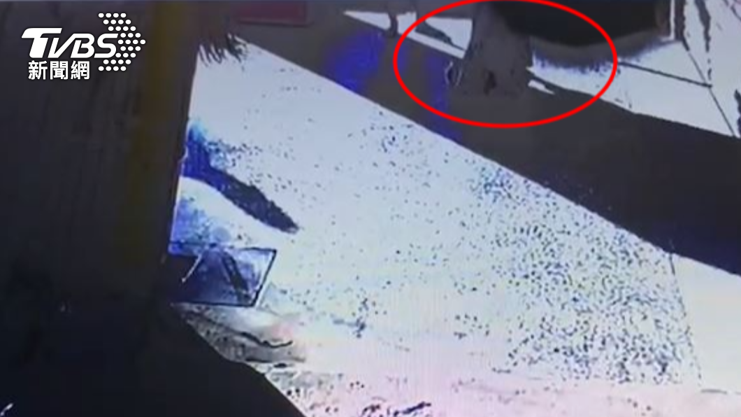 孕婦當街下跪近1分鐘,好在桃園客運駕駛經過熱心幫忙。(圖/TVBS)