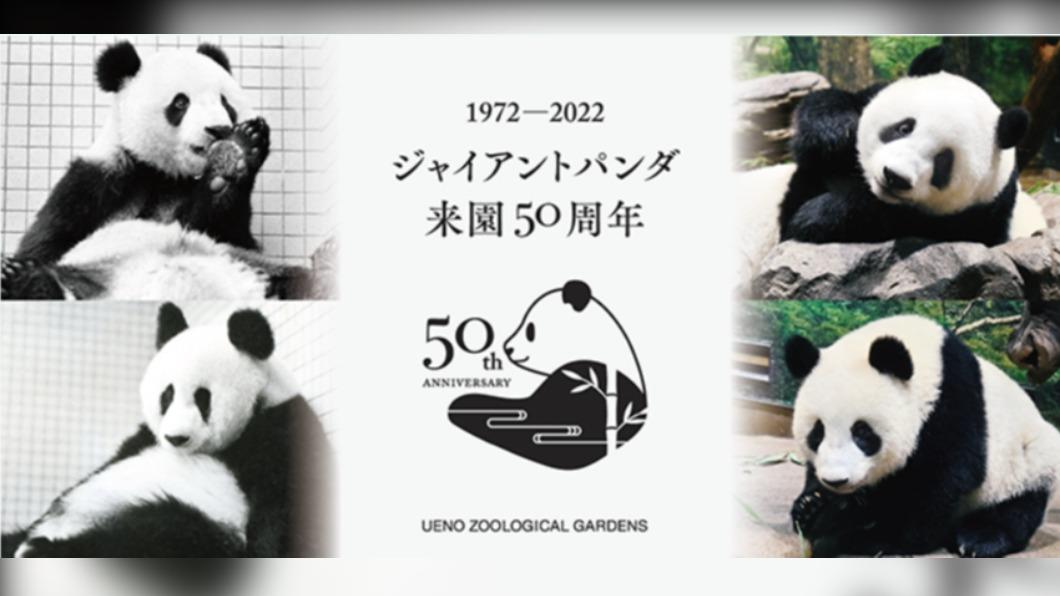 迎接貓熊50年 超夯貓熊旋風席捲東京上野動物園