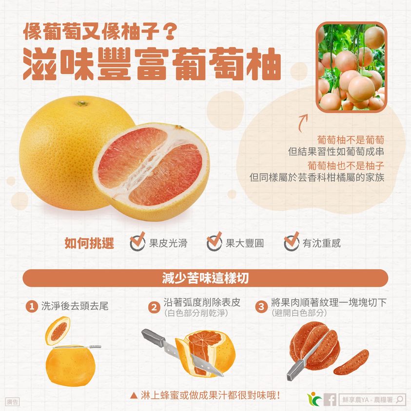 將白色皮囊部分切削乾淨能避免吃到苦味。(圖/翻攝自鮮享農YA - 農糧署 臉書)