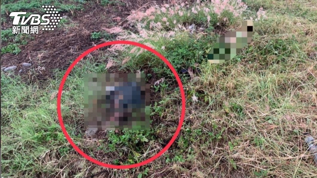 快訊／台中工人除草驚見白骨「上半身埋土裡」　死者身分曝