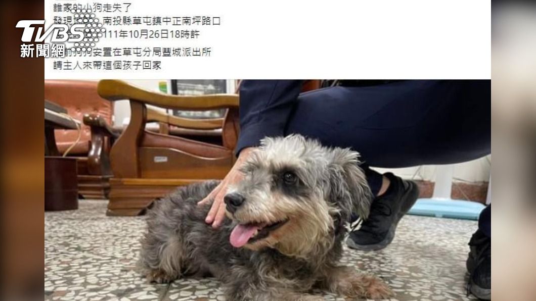 草屯分局提供