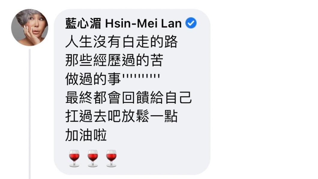 藍心湄在留言處發聲。(圖/翻攝自藍心湄臉書)