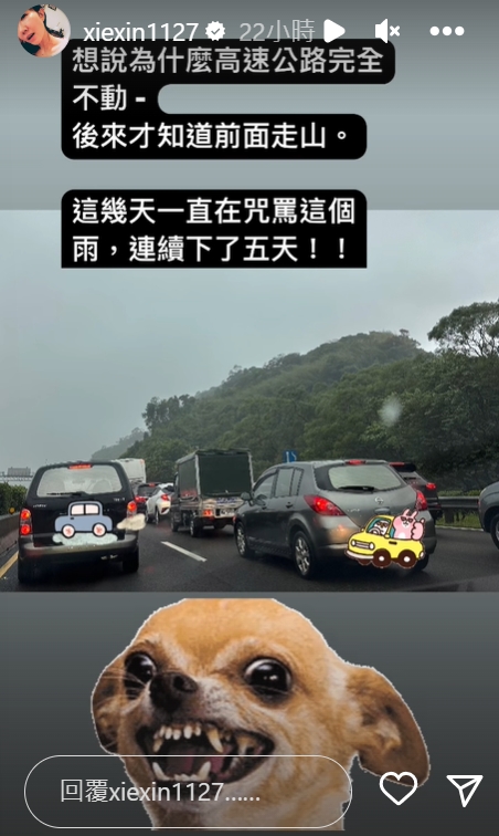 謝忻被塞在高速公路上。(圖/翻攝自謝忻 IG)