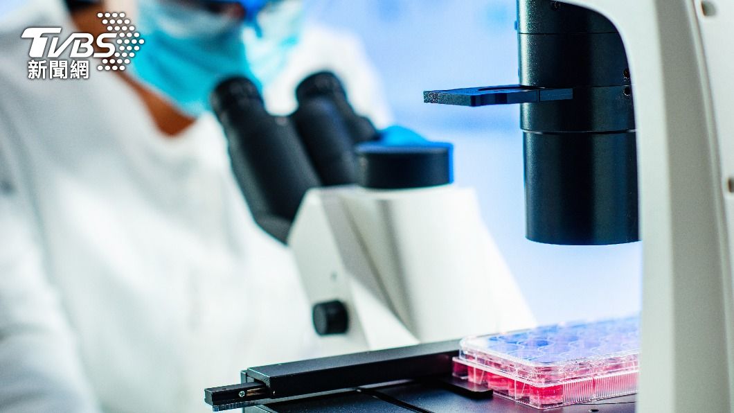 國外研究發現幹細胞可以取代人體持續老化的細胞。(示意圖/shutterstock達志影像)