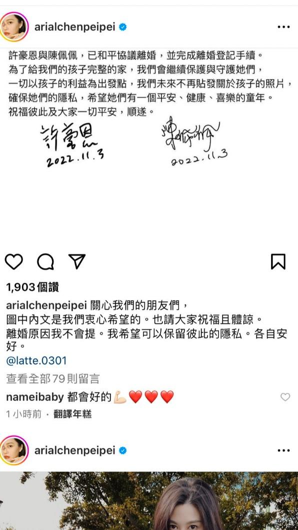 陳佩佩發出離婚聲名。（圖／翻攝自陳佩佩IG）