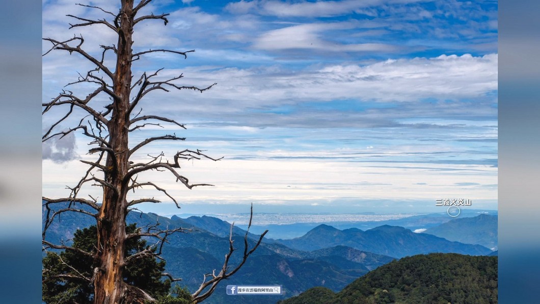 圖/翻攝自漫步在雲端的阿里山
