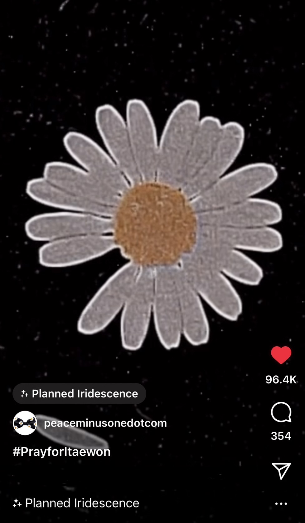 白菊花瓣掉落的影片被網友批評是在宣傳自有品牌。(圖/翻攝自peaceminusonedotcom IG)