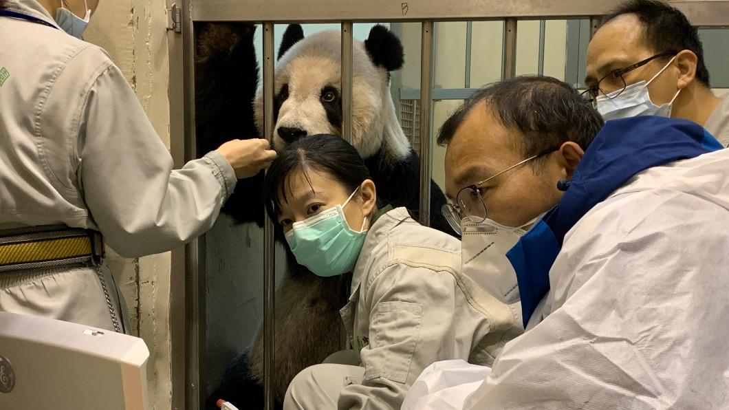 吳虹林和魏明表示，他們和動物園一致同意將會繼續採取目前的治療方案。（圖／動物園提供）