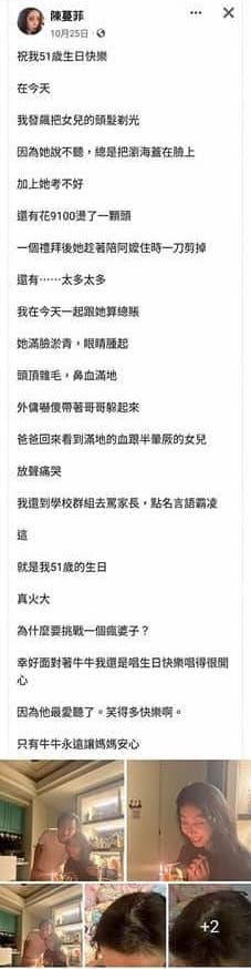網友截圖洗版陳蔓菲臉書。（圖／翻攝自陳蔓菲臉書）