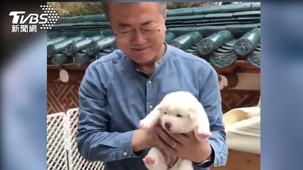 尹錫悅政權不願支付飼養費。(圖/達志影像路透社)