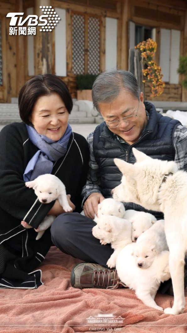 金正恩於2018年贈送豐山犬給文在寅。(圖/達志影像路透社)