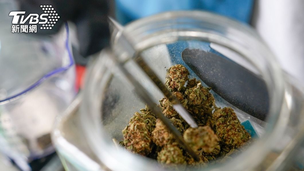 美期中選舉/選州長再加1題!這5州公投娛樂用大麻合法化