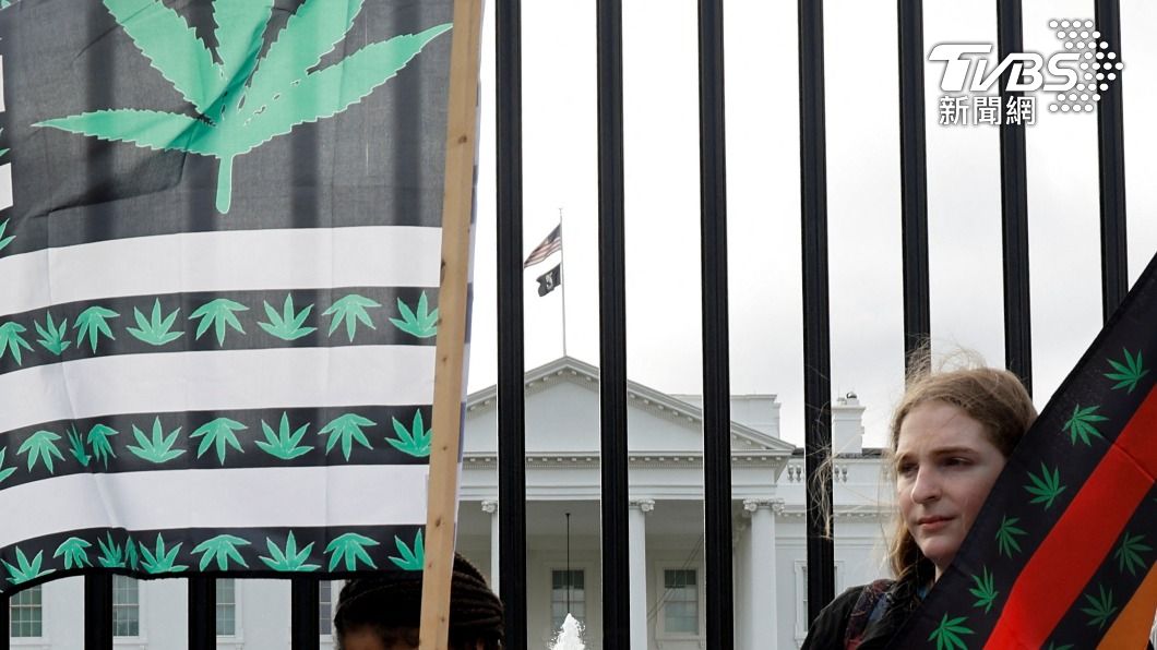 娛樂用大麻合法化運動的支持者們,拿著有大麻葉子形狀標誌的旗子揮舞。(圖/達志影像路透社)