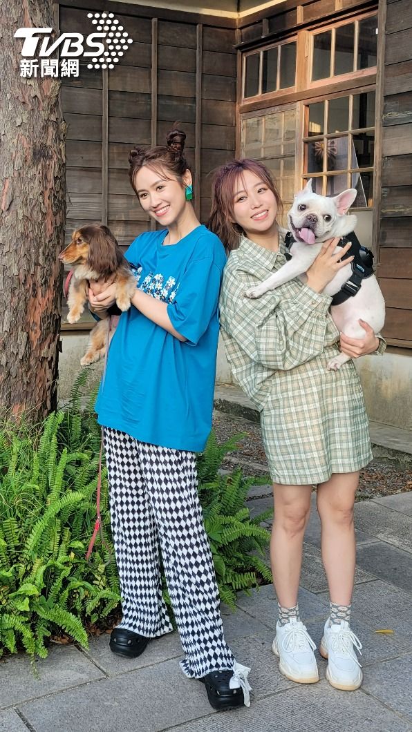 兩人的愛犬都非常吸睛。(圖/TVBS)