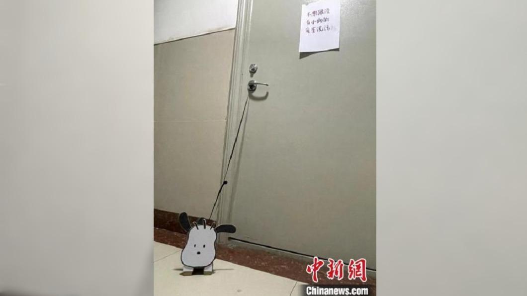 紙盒狗被栓在寢室門外。（圖／翻攝自中新網）