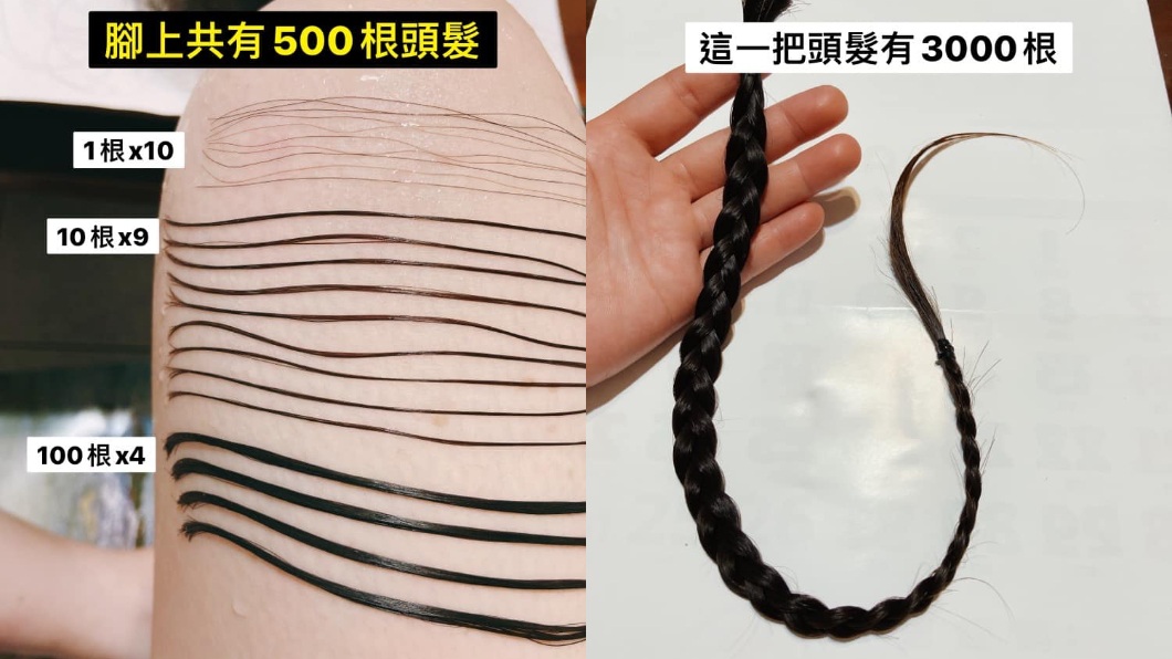原PO還分享一把頭髮約有3千根。(圖/翻攝自臉書社團「爆廢公社二館」)