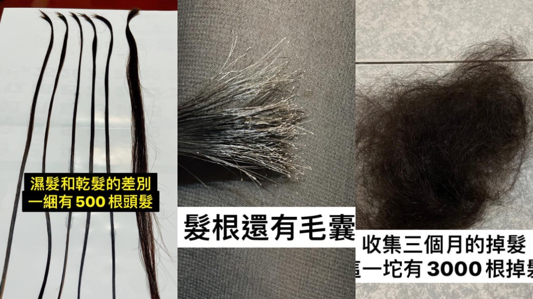 一名女網友分享自己收集了3個月的掉髮並進行統計。(圖/翻攝自臉書社團「爆廢公社二館」)