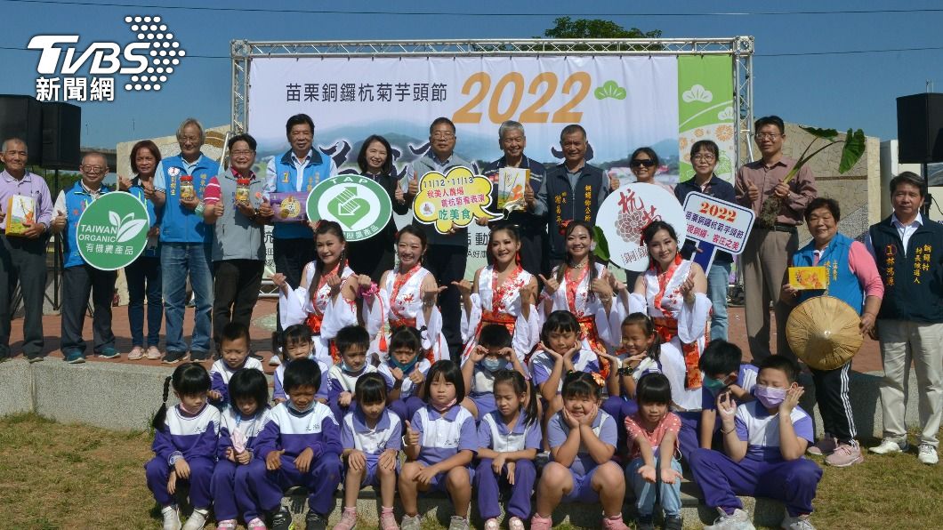 銅鑼杭菊芋頭節本周六日登場 花海迎賓