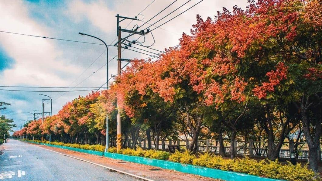 「米粉寮大排水溝」位於橋江南街旁,因種植了很多台灣欒樹,又被稱為全台最美排水溝。(圖/大手牽小手玩樂趣提供)
