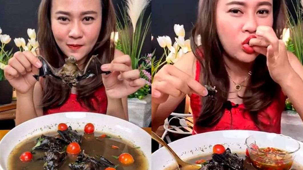 網美開直播吃蝙蝠。(圖/翻攝自推特)