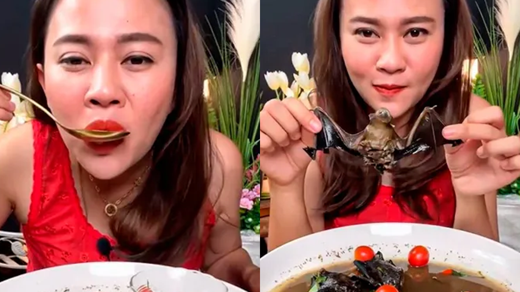 網美「爽撕翅膀」啃蝙蝠恐吃牢飯！網憶疫情罵爆：會被詛咒