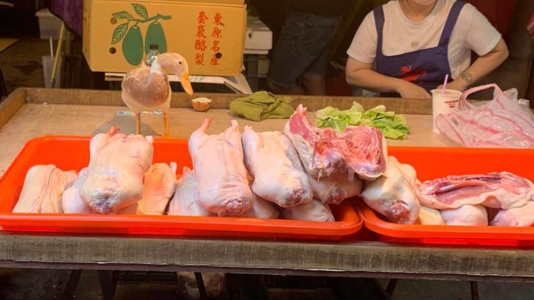 老闆太狠!活鴨前方整排「無頭同類」 網嚇爆:賣身葬全家