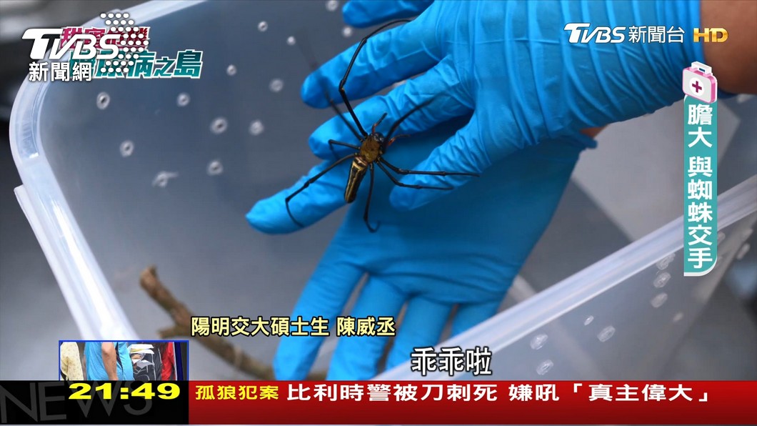 圖/TVBS