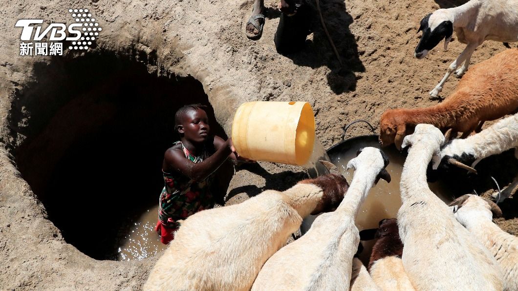 肯亞圖爾卡納郡(Turkana)一名牧羊人辛苦從井底取水,盼讓口渴的羊隻恢復活力。(圖/達志影像路透社)