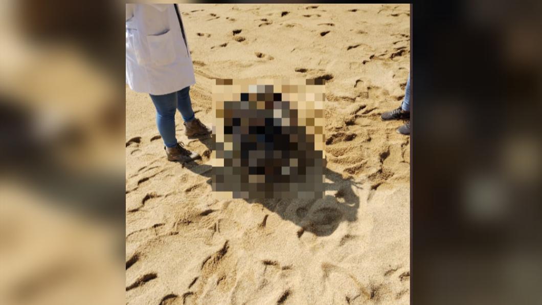 遺體疑似遭到綑綁凌虐。(圖/翻攝自推特)