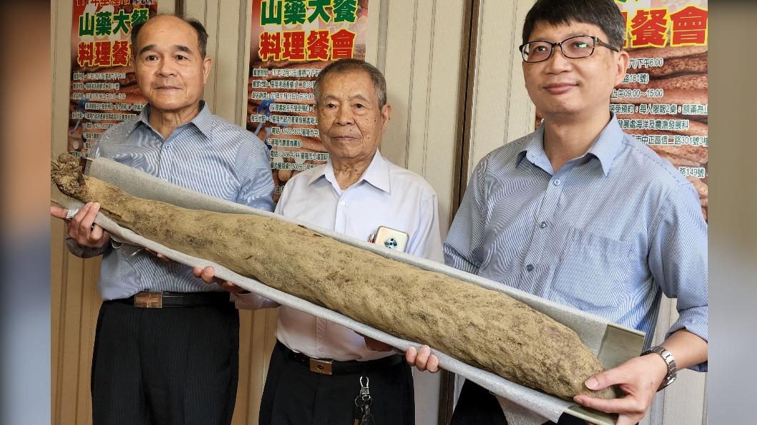 因缺水改用自來水灌溉 竟長出120公分超級大山藥