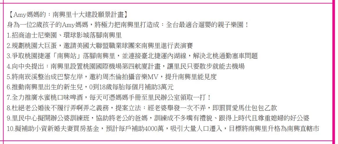 桃園市蘆竹區南興里里長候選人洪嘉璘列出10項奇葩政見。(圖/翻攝自選舉公報)
