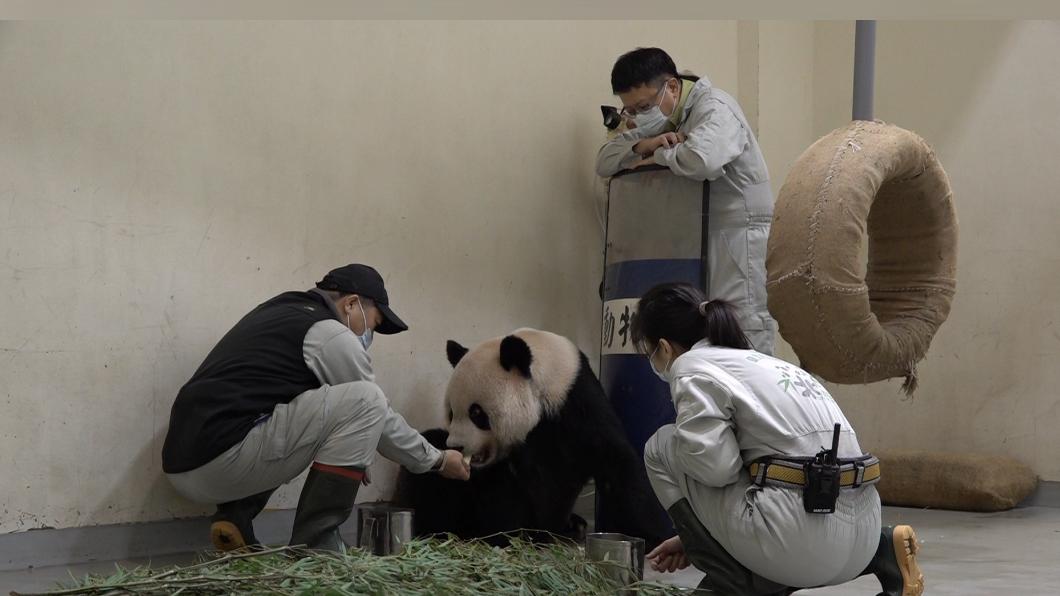 動物園人員照護團團。(圖/動物園提供)
