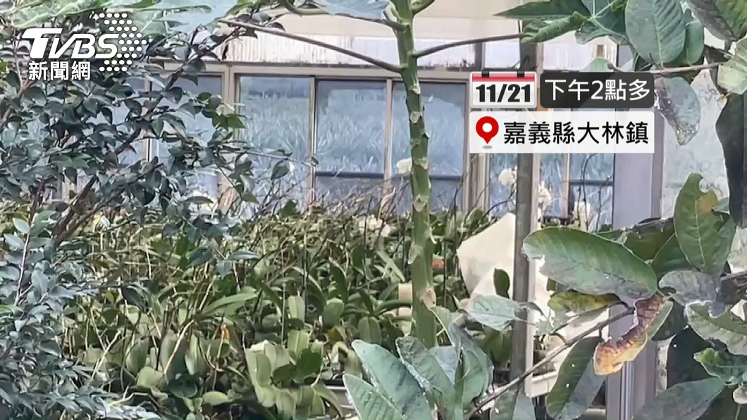 圖/TVBS