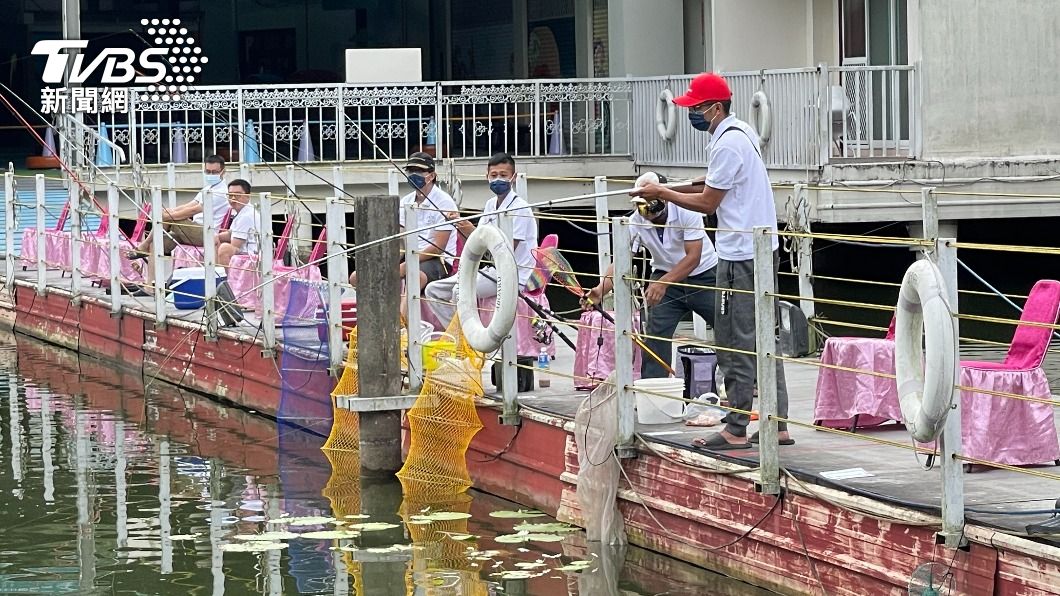守護本土魚!飯店辦外來種釣魚大賽 大廚在現場煮給你吃