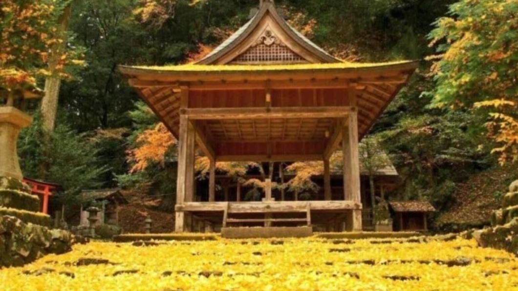 深秋遊京都不只賞楓! 探訪名勝古蹟的銀杏秘境幽景