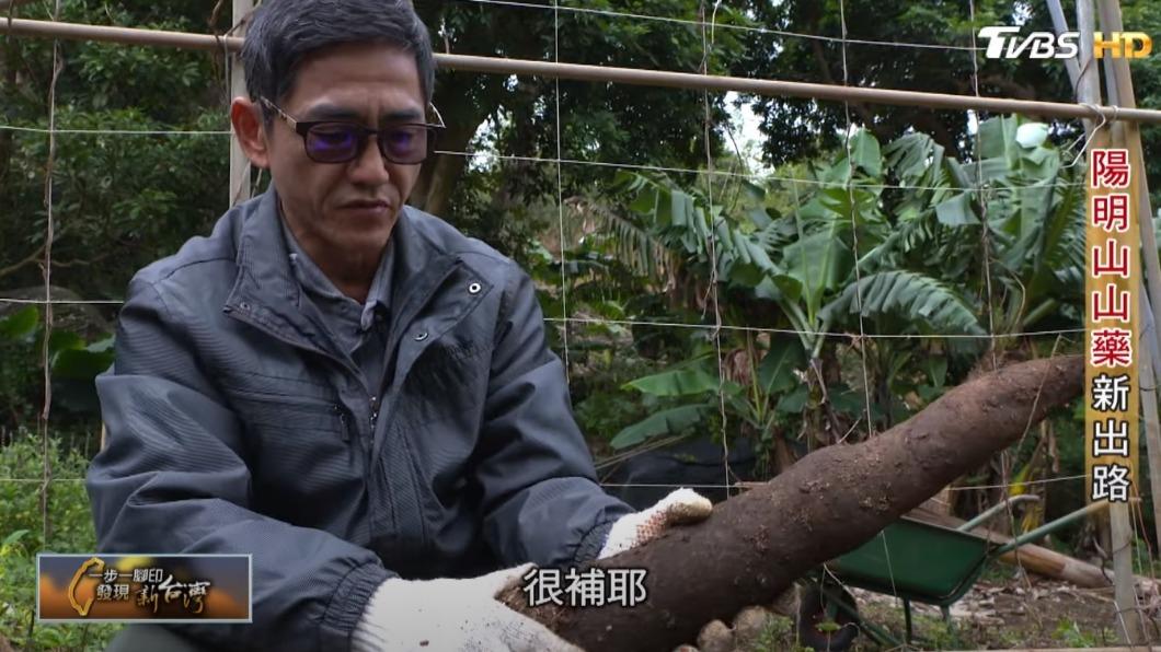 山藥農張志清(圖/TVBS)